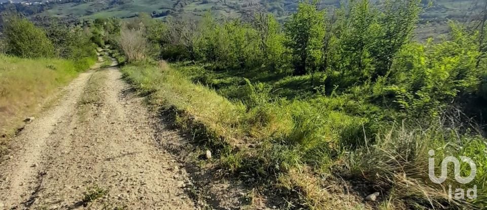 Land of 280,000 m² in Montefino (64030)