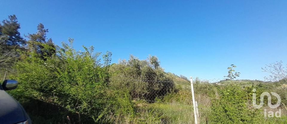 Land of 280,000 m² in Montefino (64030)