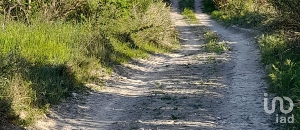 Land of 280,000 m² in Montefino (64030)