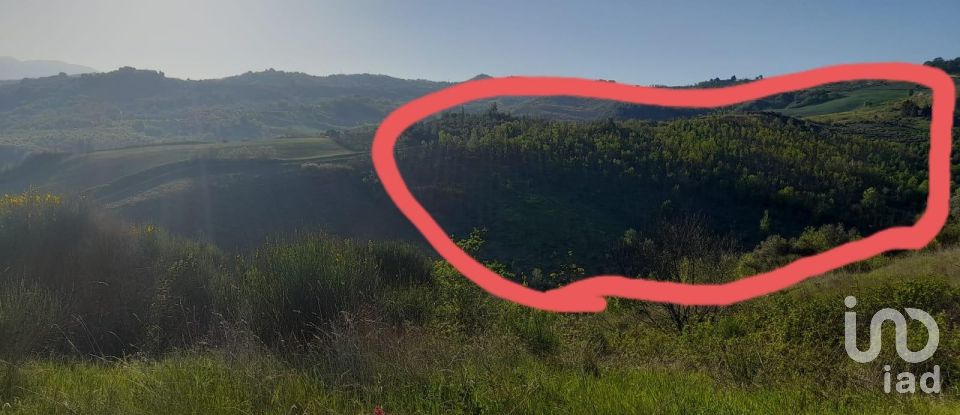 Land of 280,000 m² in Montefino (64030)