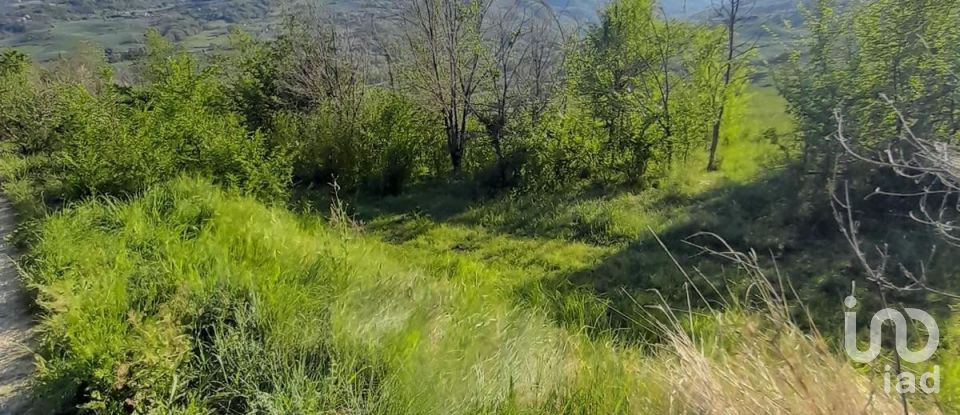 Land of 280,000 m² in Montefino (64030)