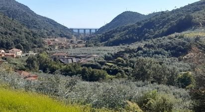 Casa indipendente / Villa 11 locali di 300 m² in Tovo San Giacomo (17020)