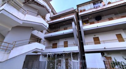 Trilocale di 32 m² a Scalea (87029)