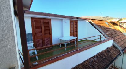 Trilocale di 32 m² a Scalea (87029)