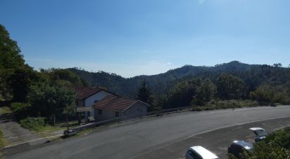 Appartamento 6 locali di 119 m² a Carro (19020)