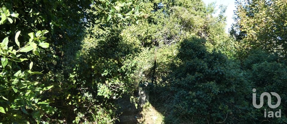 Apartment 6 rooms of 119 m² in Carro (19020)