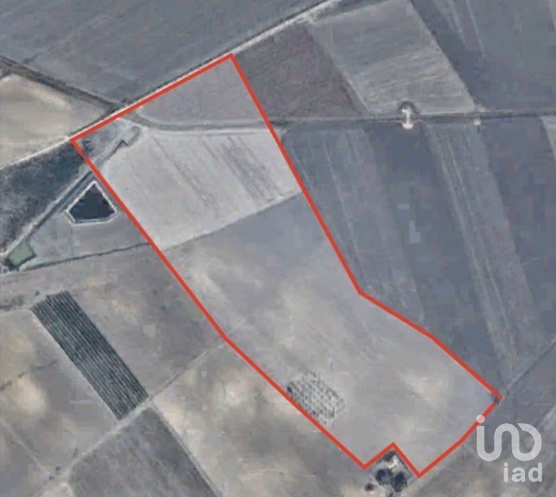 Land of 195,600 m² in Manfredonia (71043)