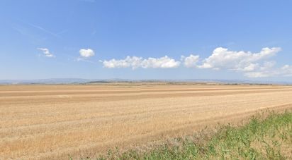 Terreno di 195.600 m² in Manfredonia (71043)