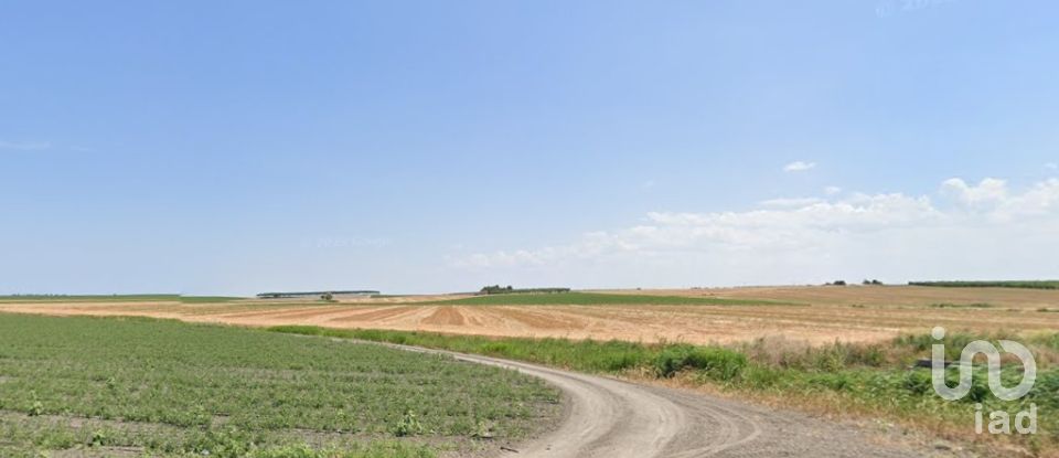 Land of 195,600 m² in Manfredonia (71043)