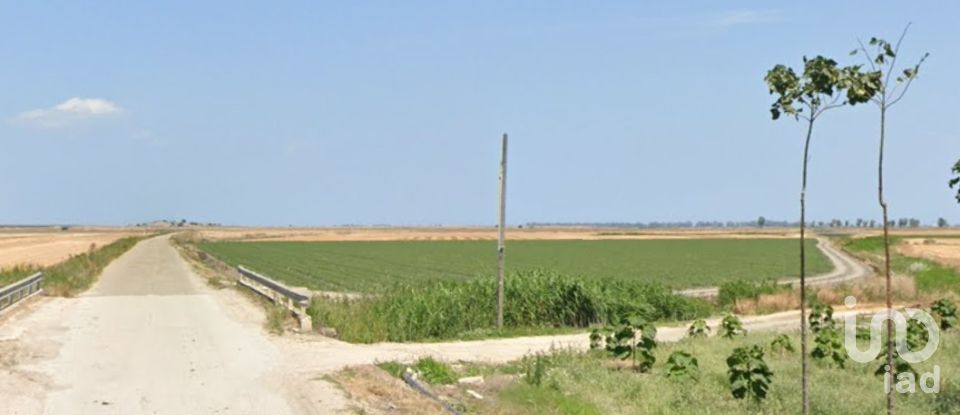 Land of 195,600 m² in Manfredonia (71043)