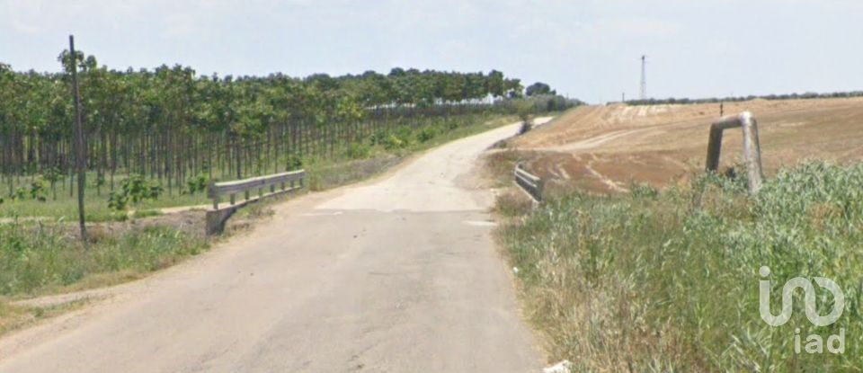 Land of 195,600 m² in Manfredonia (71043)