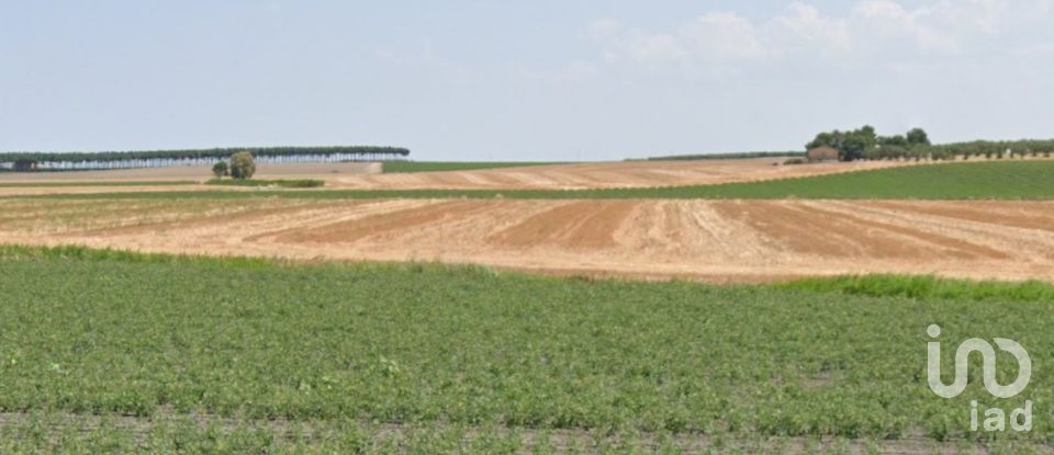 Land of 195,600 m² in Manfredonia (71043)