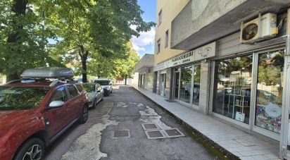 Negozio / locale commerciale di 110 m² in Mirano (30035)
