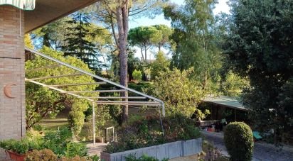 Farm 12 rooms of 400 m² in Macerata (62100)