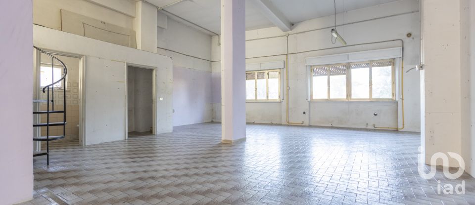 Costruzione di 502 m² in Osimo (60027)