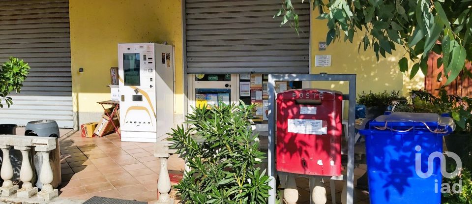 Tobacco of 60 m² in Amantea (87032)