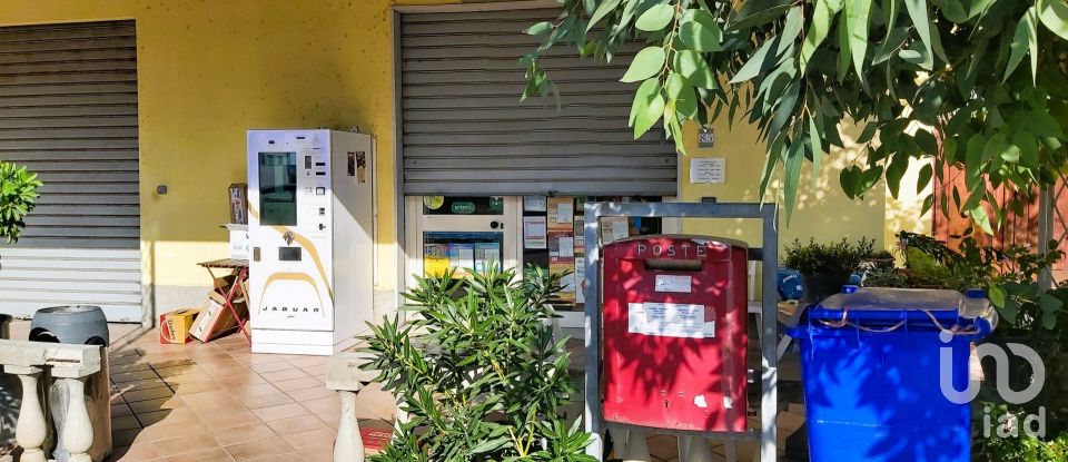 Tobacco of 60 m² in Amantea (87032)