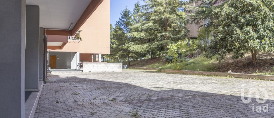 Monolocale di 45 m² a Macerata (62100)