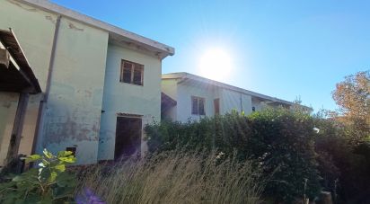 Three-room apartment of 50 m² in Scalea (87029)