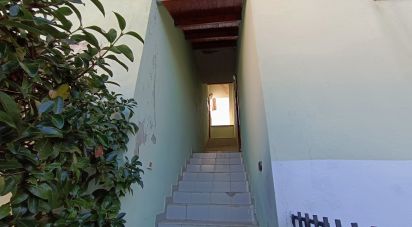Three-room apartment of 50 m² in Scalea (87029)