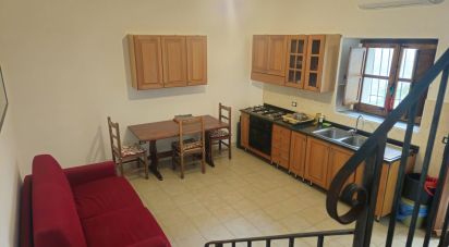 Casa indipendente 3 locali di 60 m² in Falerna (88042)