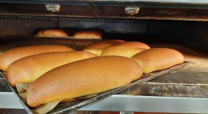 Panificio di 80 m² in Monte San Giusto (62015)