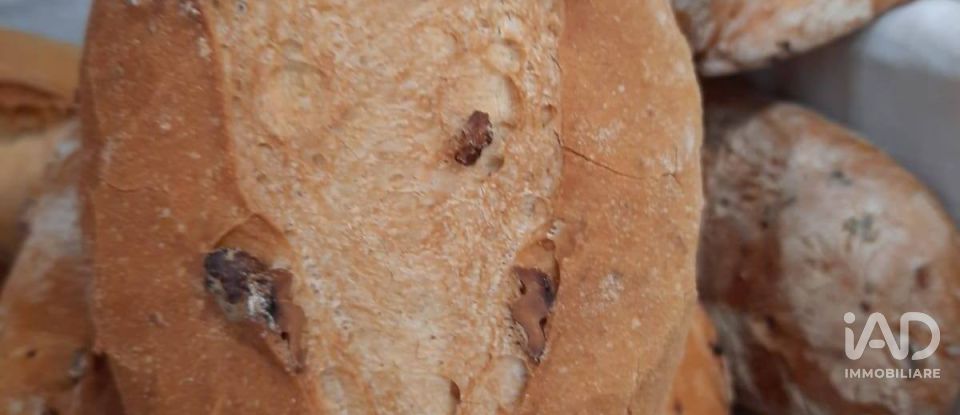 Panificio di 80 m² in Monte San Giusto (62015)