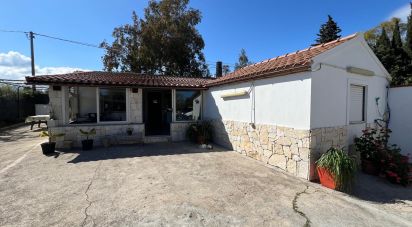 House 7 rooms of 121 m² in Lotzorai (08040)