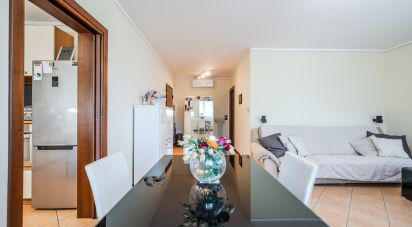 Trilocale di 115 m² a Cavezzo (41032)