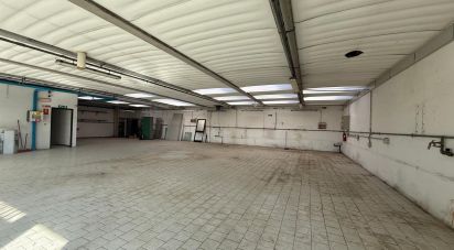 Warehouse of 340 m² in Arezzo (52100)