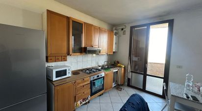 Trilocale di 80 m² a San Felice sul Panaro (41038)