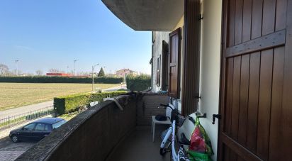 Trilocale di 80 m² a San Felice sul Panaro (41038)