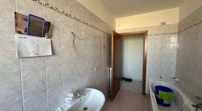 Trilocale di 80 m² a San Felice sul Panaro (41038)