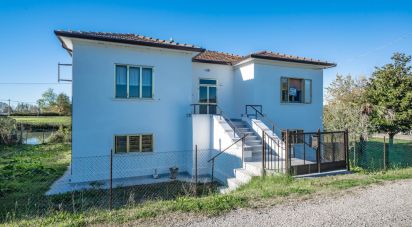 Casa indipendente / Villa 7 locali di 200 m² in Migliarino (44027)