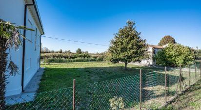 Casa indipendente / Villa 7 locali di 200 m² in Migliarino (44027)