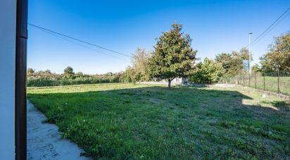 Casa indipendente / Villa 7 locali di 200 m² in Migliarino (44027)