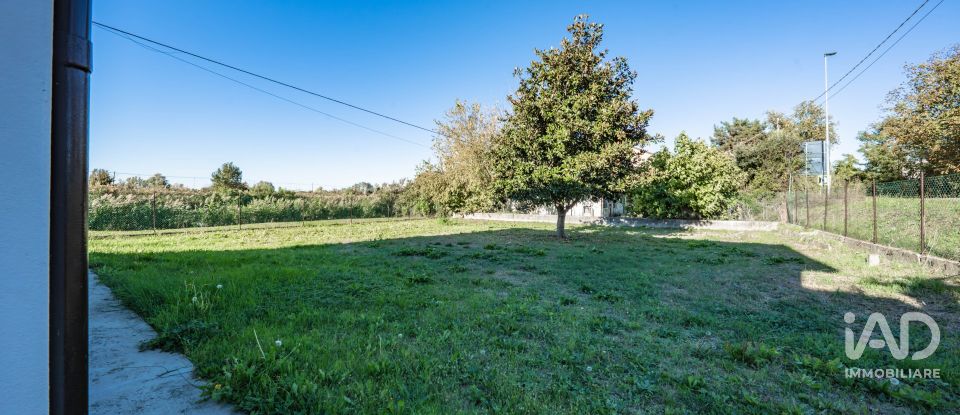 House 7 rooms of 200 m² in Migliarino (44027)