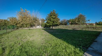 Casa indipendente / Villa 7 locali di 200 m² in Migliarino (44027)