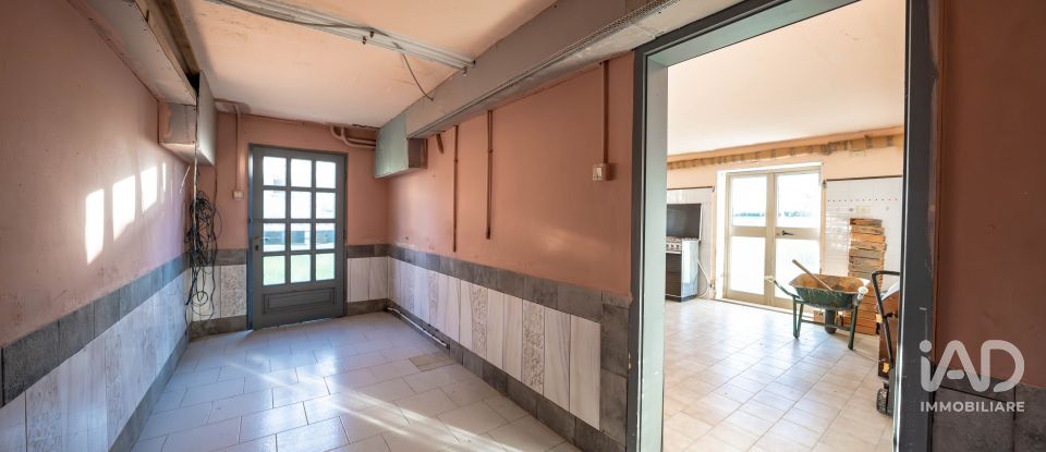 House 7 rooms of 200 m² in Migliarino (44027)