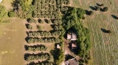 Rustico 6 locali di 280 m² in Civitanova Marche (62012)