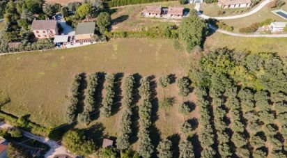 Rustico 6 locali di 280 m² in Civitanova Marche (62012)