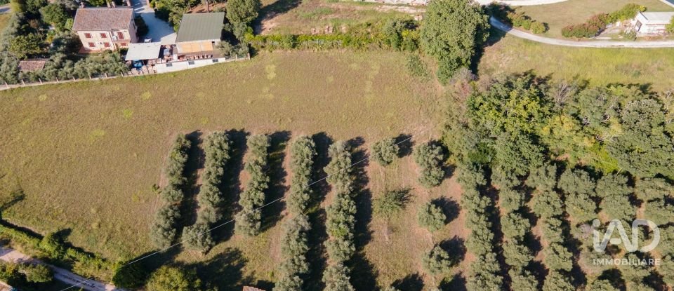 Country home 6 rooms of 280 m² in Civitanova Marche (62012)