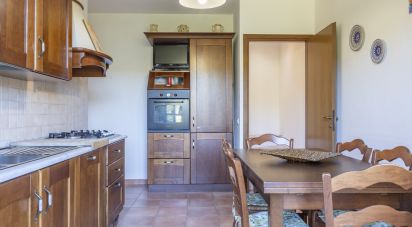 Casa indipendente / Villa 6 locali di 199 m² in Urbino (61029)