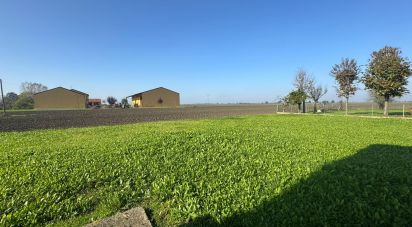 Casa indipendente 4 locali di 200 m² in Mirandola (41037)