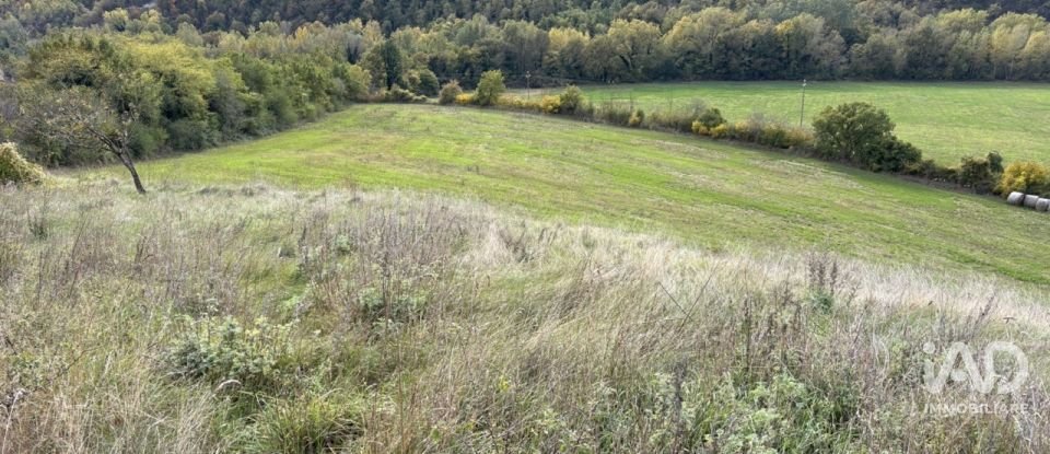 Land of 35,000 m² in Piobbico (61046)