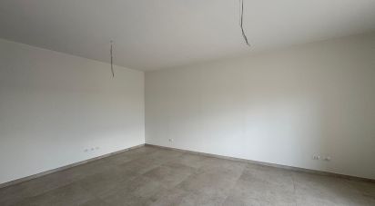 Trilocale di 170 m² a Mirandola (41037)