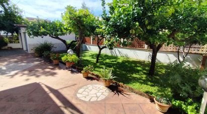 Townhouse 12 rooms of 250 m² in Scalea (87029)