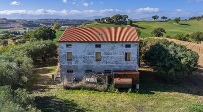 Casa indipendente / Villa 4 locali di 220 m² in Corridonia (62014)