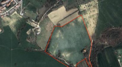 Terreno agricolo di 100.000 m² in Corridonia (62014)