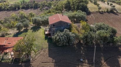 Terreno agricolo di 100.000 m² in Corridonia (62014)
